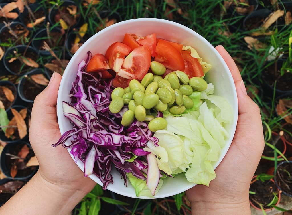 Ensalada de verduras frescas